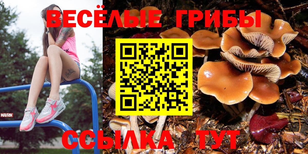 Дубна  цена наркотик  Вход с VPN  Псилоцибиновые грибы Psilocybe  Галлюциногенные грибы Psilocybe 